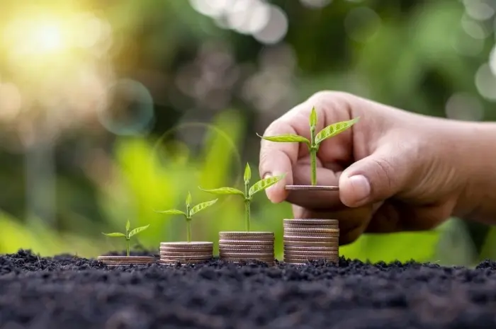 Pilihan Investasi yang Tersedia untuk Masa Depan Finansial yang Baik