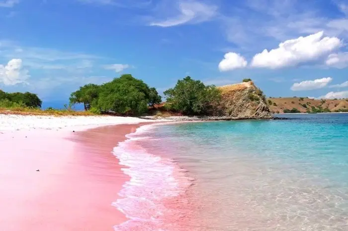 Pantai Pink Lombok, Pantai Unik dengan Panorama Alam Eksotis