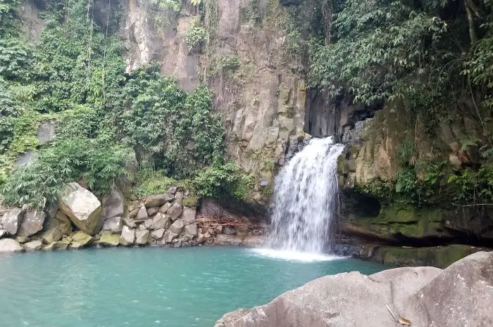 Destinasi Wisata Alam di Bogor untuk Liburan yang Menyegarkan